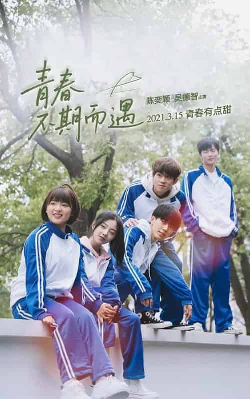 青春不期而遇（50集）陈奕颖 - 紫橙阁短剧