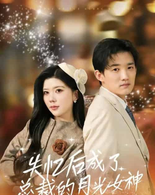 失忆后成了总裁的月光女神 失忆后成了总裁的月光女神