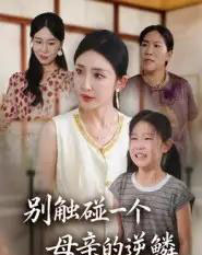 别触碰一个母亲的逆鳞（33集全）苏梦雅-紫橙网创项目网