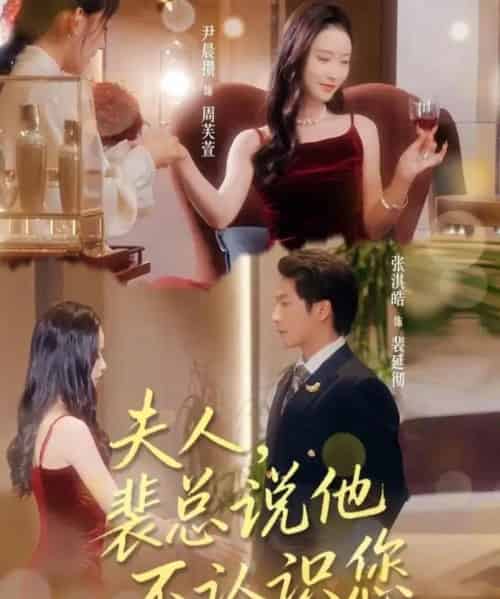 夫人裴总说他不认识您（75集全）张淇皓＆尹晨攒-紫橙网创项目网