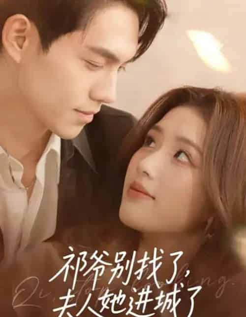 祁爷别找了，夫人她进城了（70集全）林瑞淇＆徐汇强-紫橙网创项目网