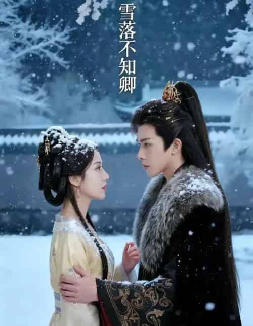 雪落不知卿（62集全）AI-紫橙网创项目网