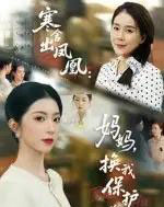 寒舍出凤凰妈妈换我保护你（75集全）肖琳＆朱凯杰-紫橙网创项目网