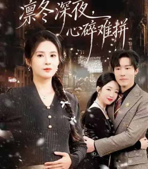 凛冬深夜，心碎难拼（64集全）陈辰＆陈酉昔-紫橙网创项目网
