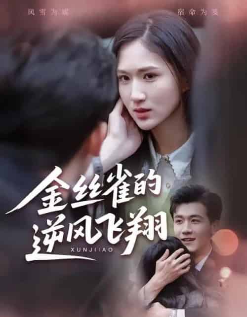 金丝雀的逆风飞翔(80集全)廖帕姿&曹润辉-紫橙网创项目网