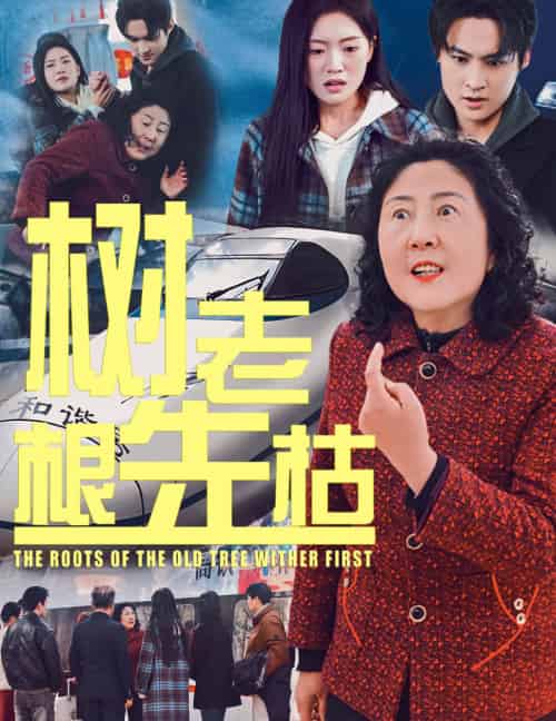 树老根先枯（33集） - 紫橙阁短剧