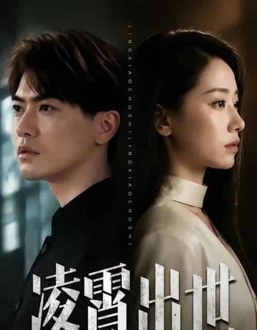 凌霄出世(82集全)都钊&顾嘉轩-紫橙网创项目网
