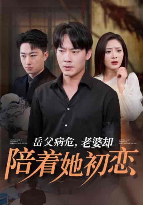 岳父病危，老婆却陪着她初恋（31集全）陆峰白＆宋绮梦 - 紫橙阁短剧