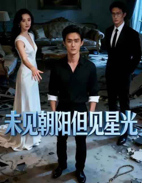 未见朝阳但见星光（34集全）Ai-紫橙网创项目网