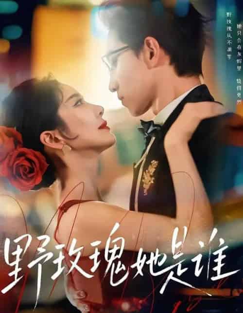 野玫瑰她是谁(84集全)李叙洲&王小橙-紫橙网创项目网