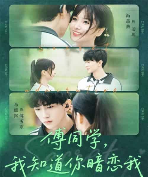 傅同学，我知道你暗恋我（59集全）马應露＆渐蔷薇-紫橙网创项目网