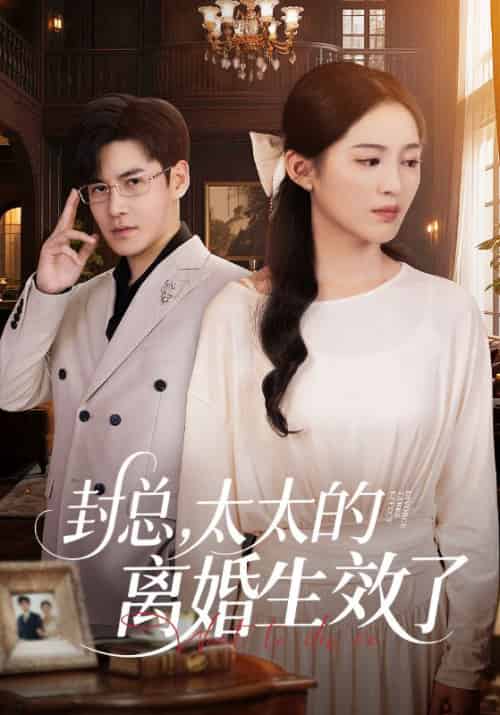 封总，太太的离婚生效了＆封总太太的离婚生效了（82集全）崔秀子＆李子锋 - 紫橙阁短剧