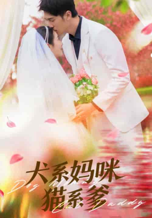 犬系妈咪猫系爹（79集全）顾子辰＆赵灵儿 - 紫橙阁短剧