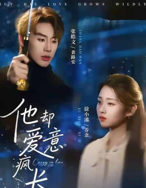 他却爱意疯长(56集全)张皓文&徐小浠-紫橙网创项目网