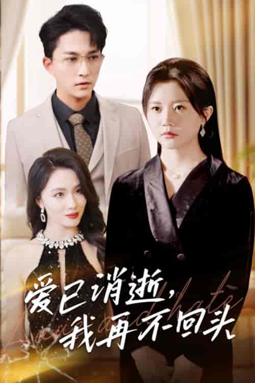 爱已消逝我再不回头（31集全）李家圆子 - 紫橙阁短剧