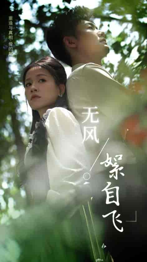 无风絮自飞（36集） - 紫橙阁短剧