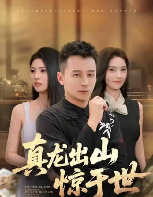 真龙出山惊于世（74集） - 紫橙阁短剧