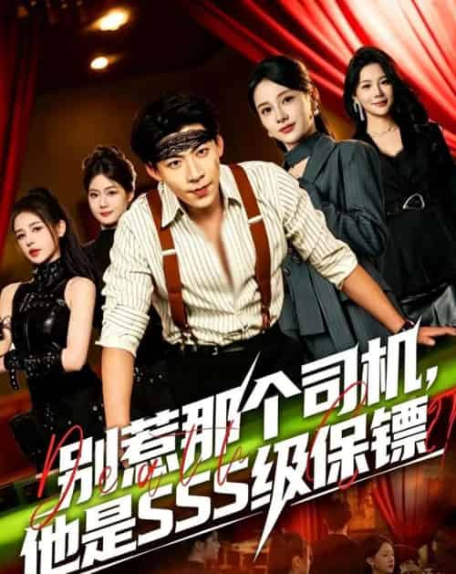 别惹那个司机,他是SSS级保镖 别惹那个司机,他是SSS级保镖