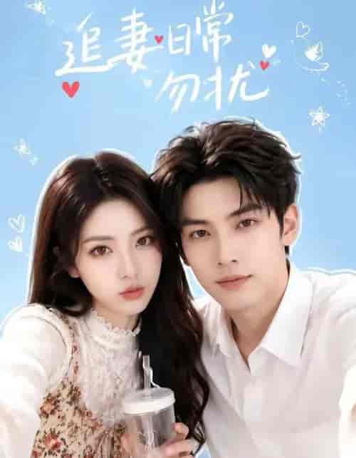 追妻日常勿扰（83集全）AI短剧-紫橙网创项目网