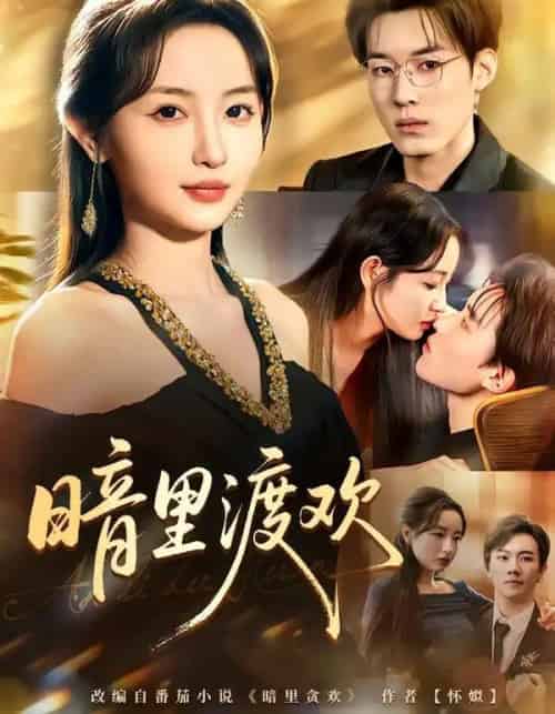 暗里渡欢(80集全)王子岳&刘玥-紫橙网创项目网