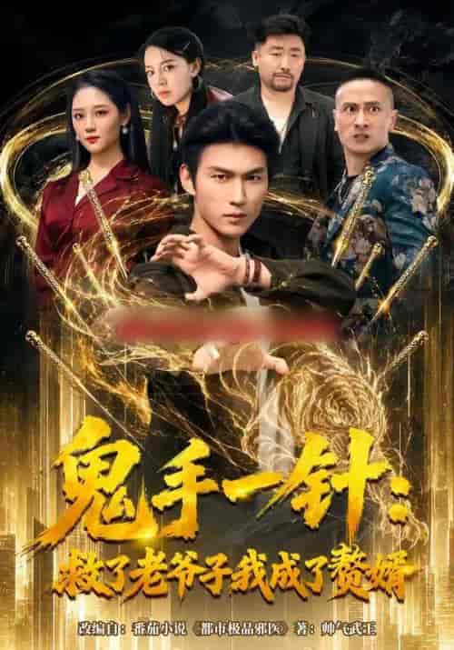 鬼手一针:救了老爷子我成了赘婿(80集全)周朕&宋宇欣-紫橙网创项目网