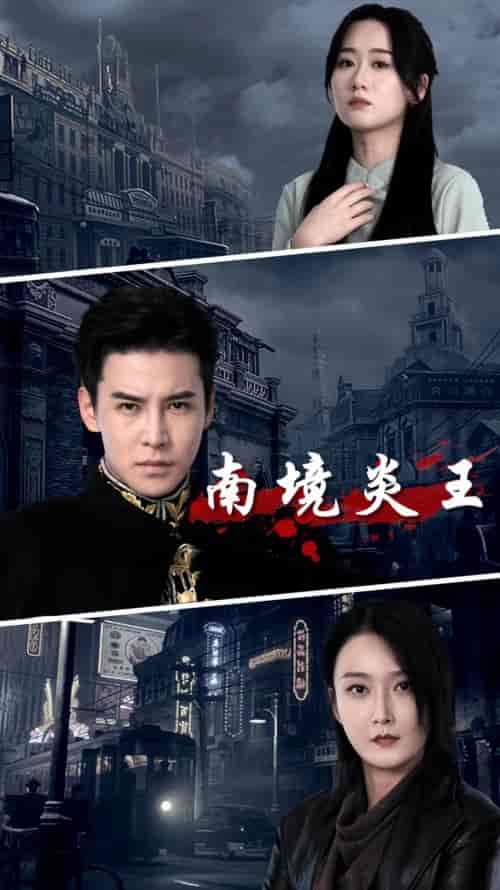 南境炎王（80集） - 紫橙阁短剧