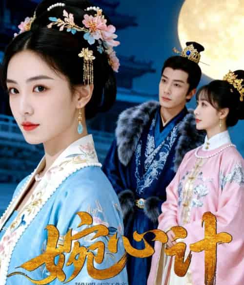 婉心计(49集全)AI-紫橙网创项目网