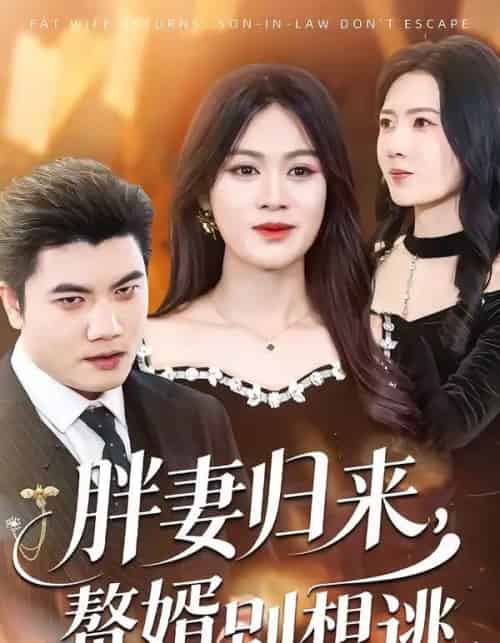 胖妻归来，赘婿别想逃（50集全）李芝桦＆刘星宇-紫橙网创项目网