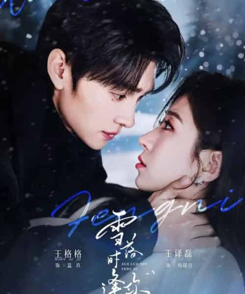 雪落时逢你(75集全)王译磊&王格格-紫橙网创项目网