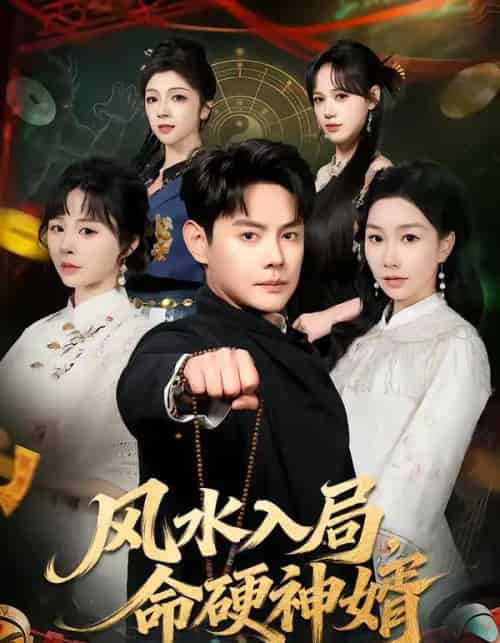 风水入局，命硬神婿（80集全）邱浩轩＆张馨悦-紫橙网创项目网