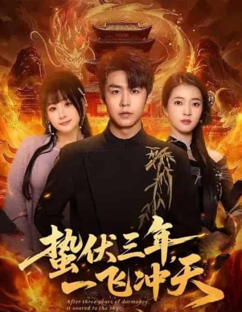 蛰伏三年,一飞冲天(60集全)孔德瑞&刘浔-紫橙网创项目网