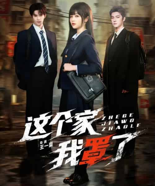 这个家我罩了(60集全)张庭睿&岳雨婷&邵巍-紫橙网创项目网