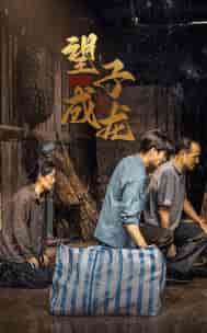 新版：望子成龙（59集） - 紫橙阁短剧