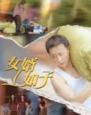 女婿如子（40集全） - 紫橙阁短剧