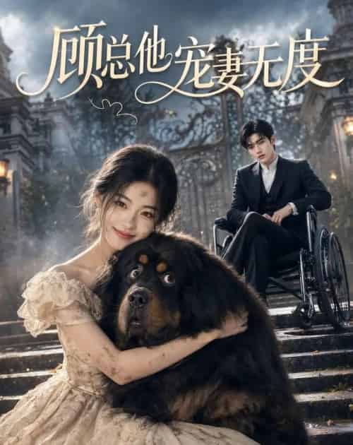 顾总他宠妻无度（36集全）AI - 紫橙阁短剧