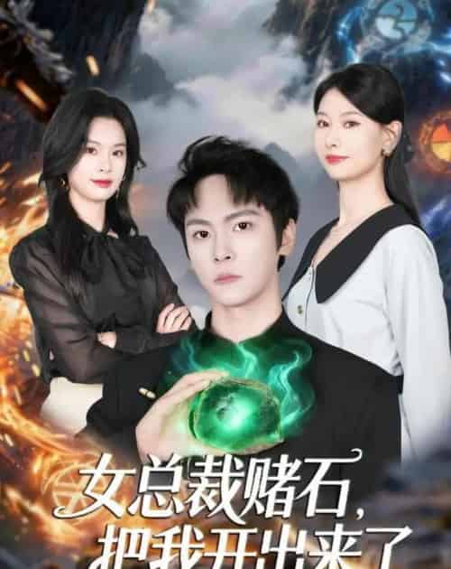 女总裁赌石,把我开出来了(76集全)李硕&杨静怡-紫橙网创项目网