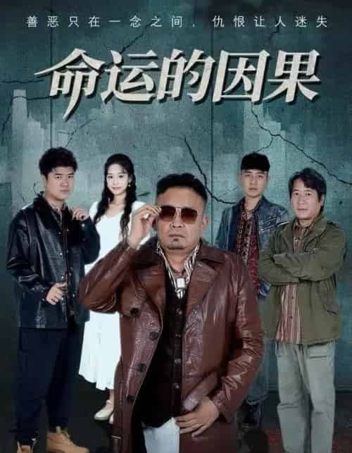 命运的因果（60集全）贾楠＆刘诣文-紫橙网创项目网