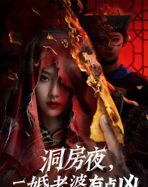 洞房夜,二婚老婆有点凶(66集全)樊磊&李奕璇-紫橙网创项目网