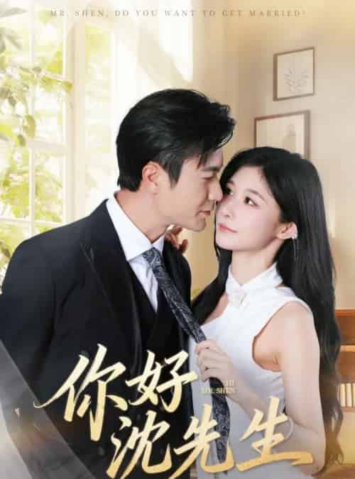 你好沈先生(52集全)罗佳豪&孙妍恩-紫橙网创项目网