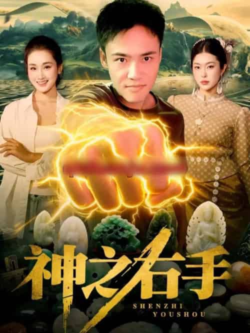 神之右手(100集全)理艺如&王行宇-紫橙网创项目网