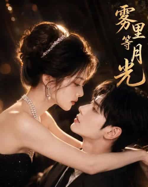 雾里等月光(80集全)AI-紫橙网创项目网