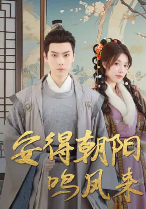 安得朝阳鸣凤来（33集全）许宵＆唐婉 - 紫橙阁短剧