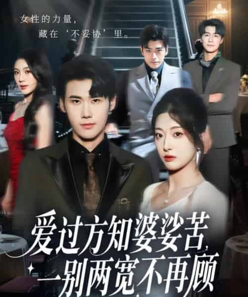 爱过方知婆娑苦一别两宽不再顾（57集全）杜恩宇＆邹佳欣 - 紫橙阁短剧