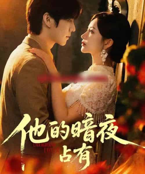 他的暗夜占有(71集全)袁初年&阿君-紫橙网创项目网