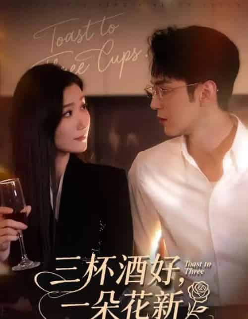 三杯酒好，一朵花新＆星晚辞旧霁雪迎新（70集全）希尔力＆那馨-紫橙网创项目网
