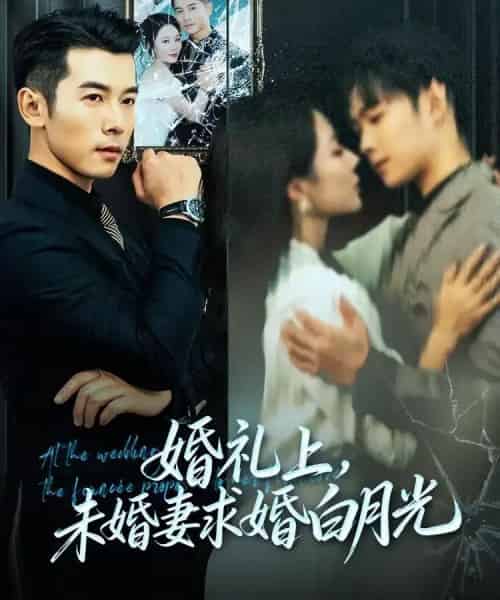 婚礼上,未婚妻求婚白月光(70集全)赖艺&钟嘉玲-紫橙网创项目网