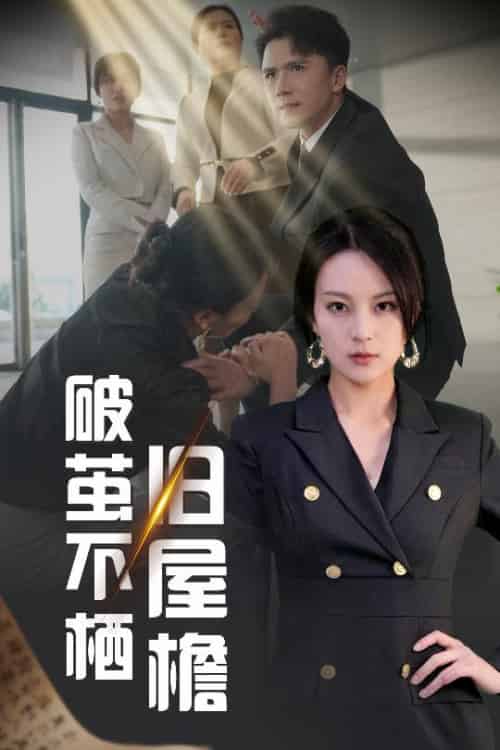 破茧不栖旧屋檐（30集全）赵志盟＆伍怡 - 紫橙阁短剧