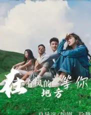 在有风的地方等你（32集） - 紫橙阁短剧