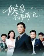 候鸟不再南飞(80集全)苗峯&王真真-紫橙网创项目网