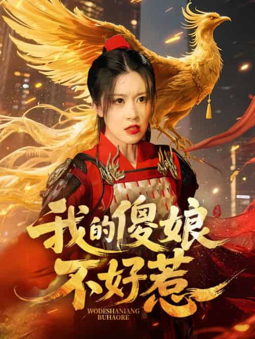 我的傻娘不好惹 我的傻娘不好惹